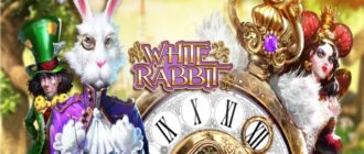 White Rabbit